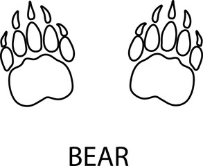 Bear foot print illustration, animal paw print illustration on white background