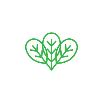 Spinach Leaf Line Icon Logo Vector