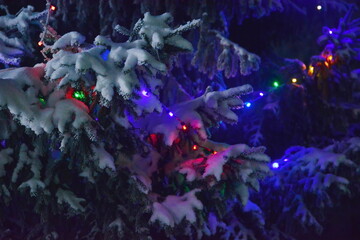 Fototapeta na wymiar fluffy branch of pine tree shrouded snow with the lights of New Year garland lit in night