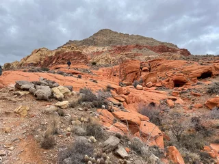 Foto op Plexiglas red rock canyon © beeesfotos