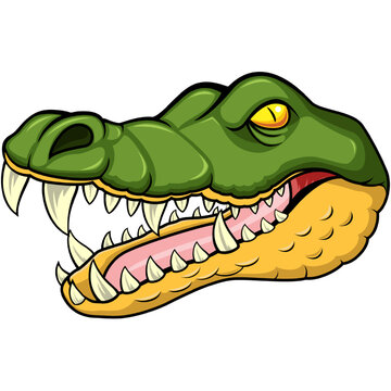 Cartoon angry crocodile head mascot