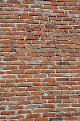 Obraz premium red brick wall