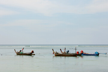 Obraz premium A bird walks along the beach in the background. Traditional Thai longtail boats are moored off the coastline, province, Thailand.