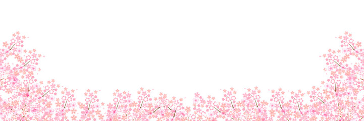 Plakat 桜　春　風景　背景
