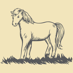 horse vector