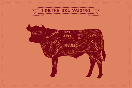 Guía de corte de carne de Vacuno, vector.