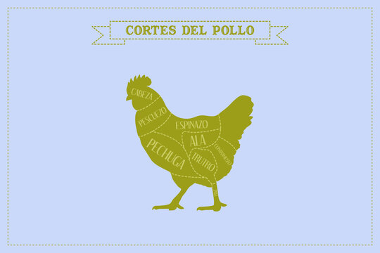 Gu&iacute;a de corte de carne de pollo, vector.