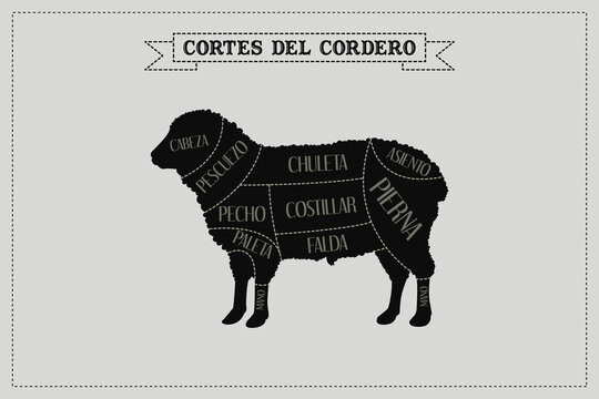 Gu&iacute;a de corte de carne de cordero, vector.