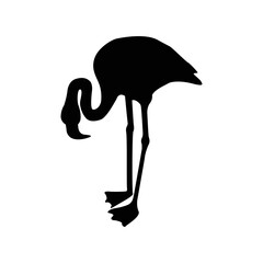 flamingo icon vector