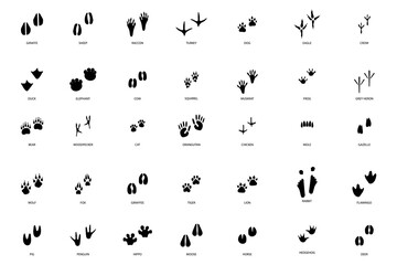 different footprint traces. footprint step traces animals. Vector illustration. - obrazy, fototapety, plakaty