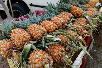 Pineapples at the food market in the center. selective focus
