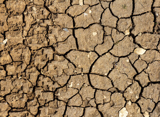a fragment of the soil surface cracked from dehydration, cracks and a dry surface.