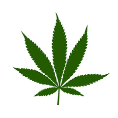 cannabis leaf 