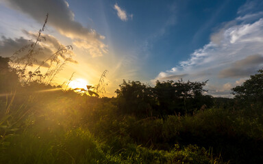 sunset in the forest