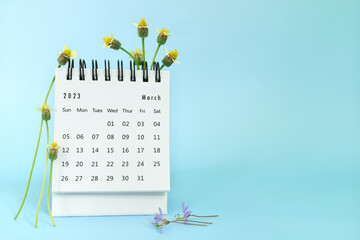 Selective focus of March 2023 desk calendar on blue background with spring flowers and copy space....