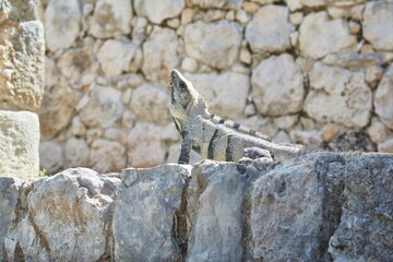 The Overlooked Mayan Ruins of Edzna in Campeche, Mexico