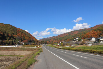 高遠スケッチ街道沿いの紅葉（長野県伊那市）