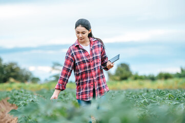 Asian young female farmer with a tablet in her hands examines the green field. Modern technologies in agriculture management and agribusiness concept.