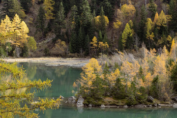 landscape river in swiss alps with trees in autumn, lake view