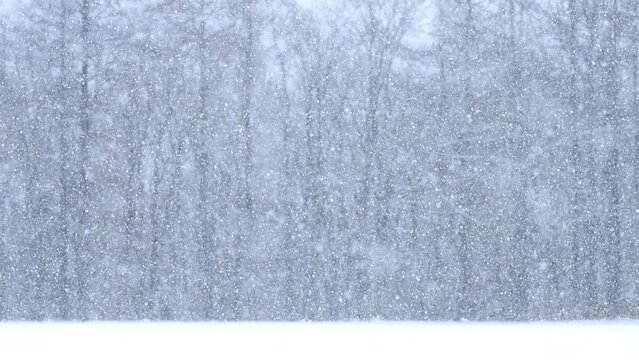 降る雪
