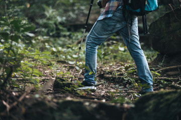 Hikers use trekking pole with backpacks and hold tent bag walking through the forest. hiking and adventure concept.