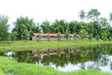 A landscape scenery with a building near a river and a lot of trees