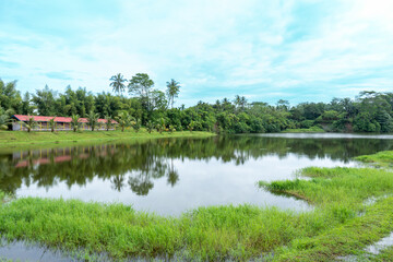 A landscape scenery with a building near a river and a lot of trees