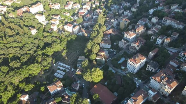 Green trees between houses from the air