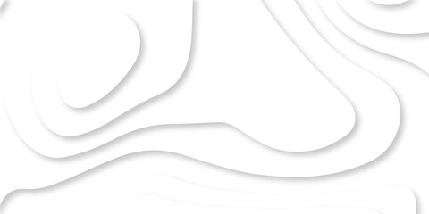 Abstract Luxury paper cut background, Abstract decoration, white pattern lines gradients, 3d Vector illustration, topographic canyon map light relief texture, curved layers.