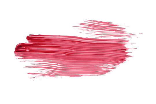 Ruddy brush isolated on transparent background, Scarlet Sage red brush, png
