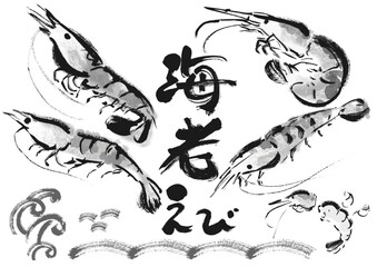 海老和風筆描きイラストセット　白黒,モノクロ,単色,