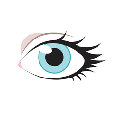 Woman eye vector with pretty eyelashes
