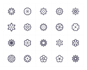Flower and natural line icon set. Vector illustration on white background. Pixel perfect.
