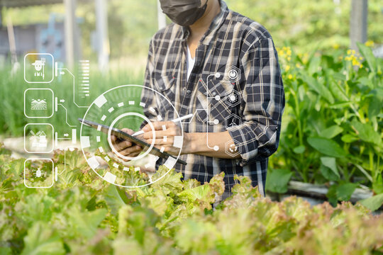 Agricultural technology farmer man using tablet computer analyzing data and morning image icon.