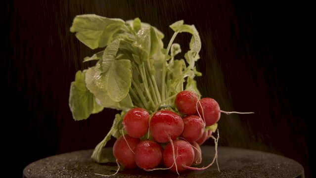 ein Bund Radieschen wir bespr&uuml;ht