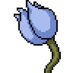 Obraz premium pixel art blue lotus bud