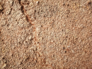 The ground has cracks in the top view for the background