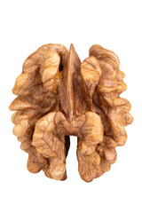 Levitation of walnut kernel isolated on transparent background.