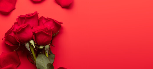 Valentines day greeting card with rose flowers