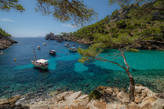 Cala Murta, pollen&ccedil;a, Mallorca, balearic islands, Spain
