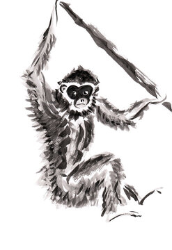 Monkey hanging on the branch. Hand drawn in chinese ink with paper texture. Inkdrawn collection. Bitmap image