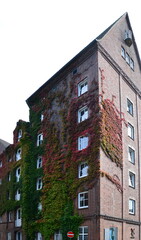 Historical Building in the Old Hanse Town Buxtehude, Lower Saxony