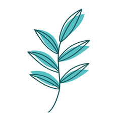 Aesthetic Flat Leaf Flower