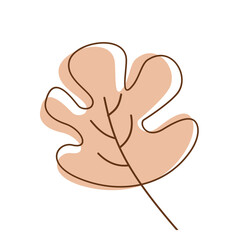 Aesthetic Flat Leaf Flower