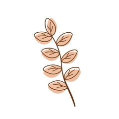 Aesthetic Flat Leaf Flower