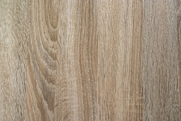 close up abstract natural wooden plank