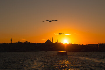 Fototapeta na wymiar Istanbul silhouette. Seagulls and silhouette of Suleymaniye Mosque