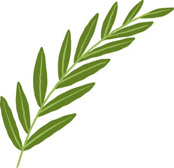 Green Leaf Illustration