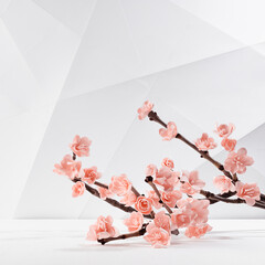 Valentines day spring floral background with branch pink sakura on white wood table, abstract geometric wall with lines, corners and poligonos, copy space, square. Romantic background in japan style.