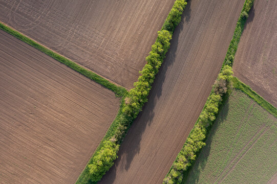 Aerial view of windbreaks protecting plowed fields in spring